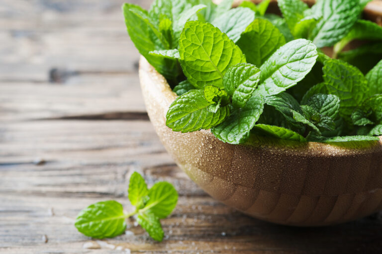 Is Mint THAT Miraculous? 5 Benefits of Growing This Super Herb