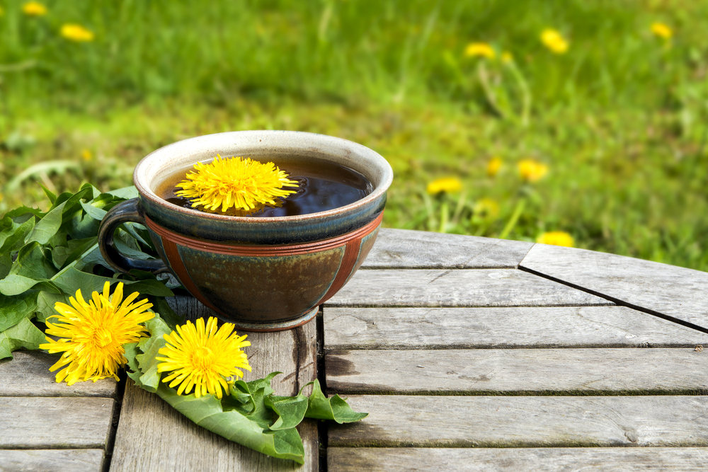 8 Healthy Dandelion Root Things You Need To Know - Nutrition in USA