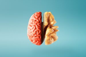 foods that are good for your brain
