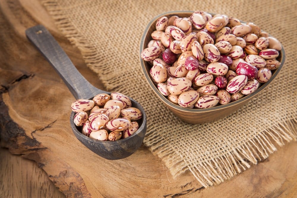 healthiest beans