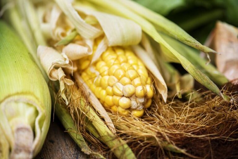 12 Worst Vegetables in America, Ranked - Nutrition in USA